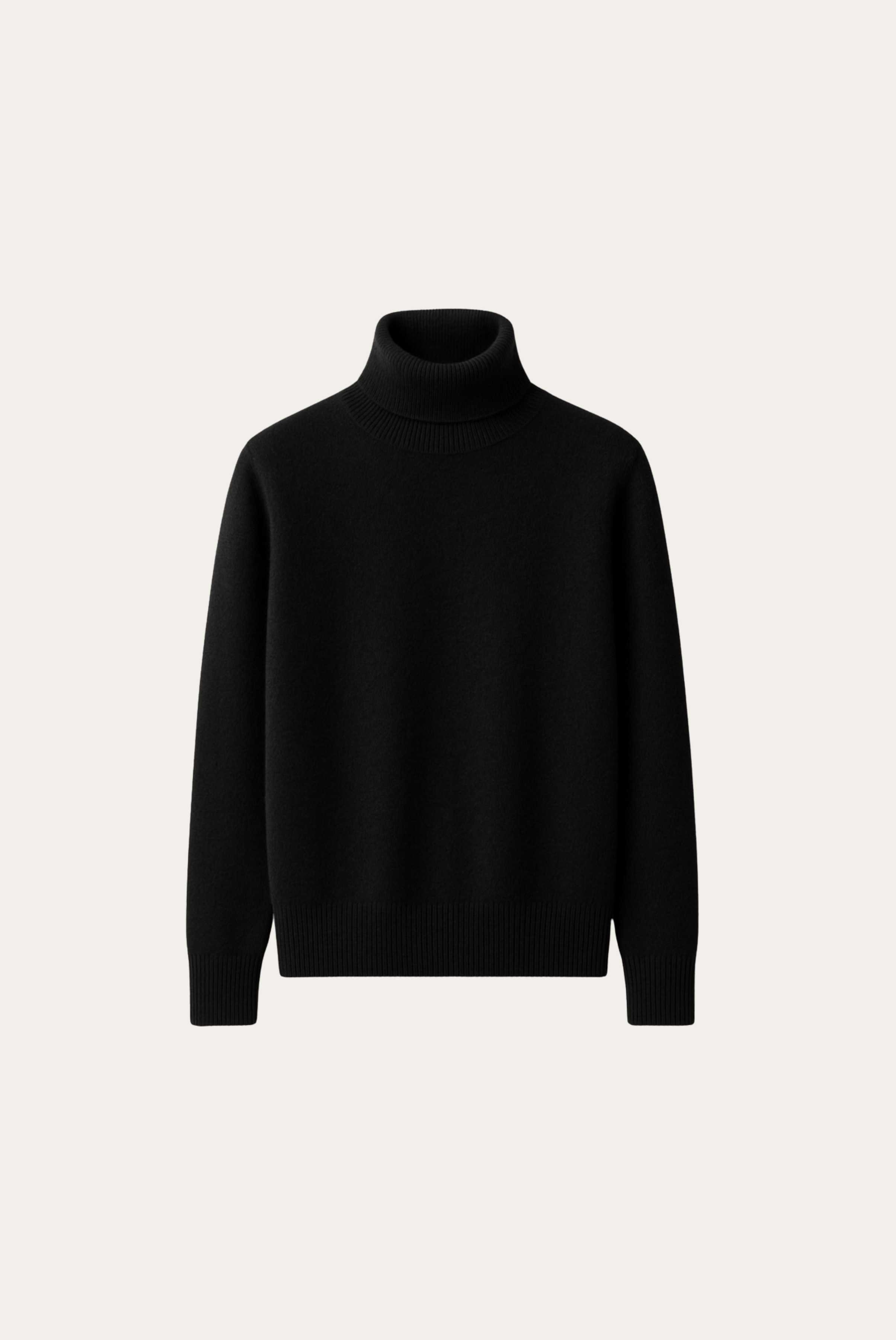https://cdn.shopify.com/s/files/1/0951/3133/6969/files/Turtleneck_Black.png?v=1758618597